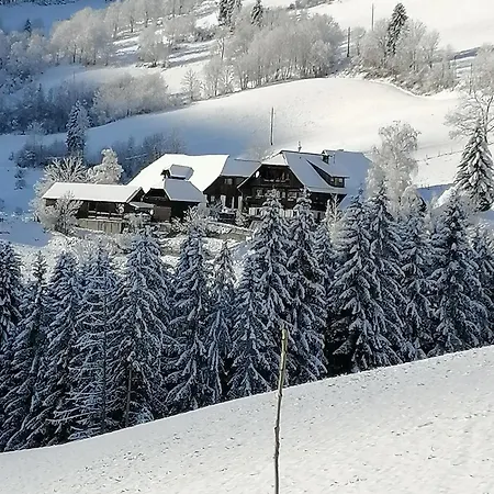 Surtmannhof Guest house *