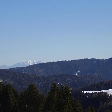 Surtmannhof 3* Sirnitz