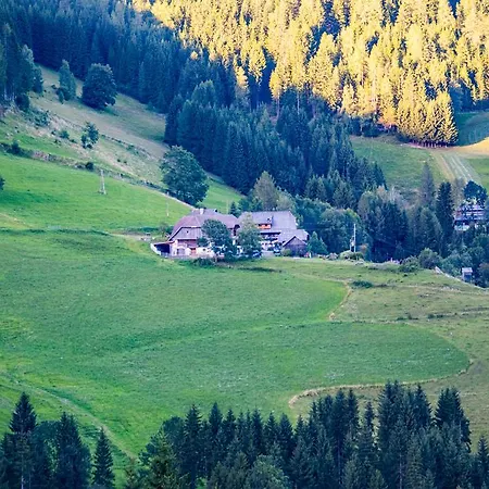 بيت ضيافة Surtmannhof Sirnitz